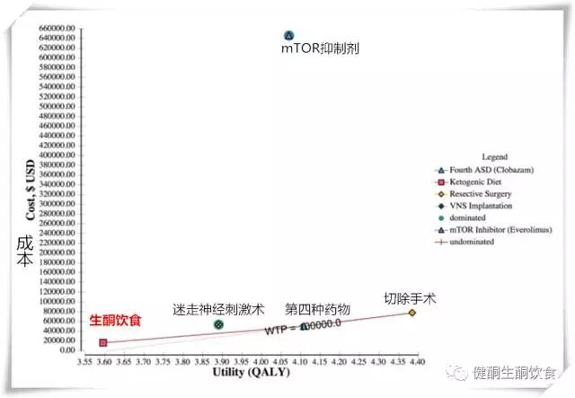 健酮,癫痫疗法,生酮,生酮饮食,生酮饮食疗法