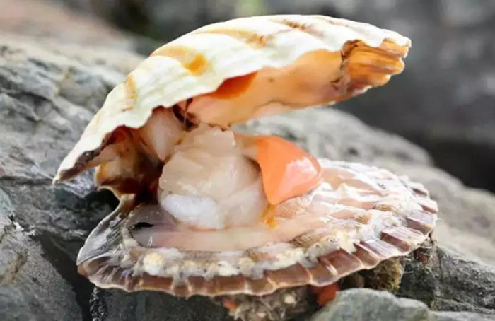 生酮|生酮饮食|癫痫|儿童癫痫|癫痫治疗|癫痫症状|生酮减肥|肥胖 生酮|生酮饮食|癫痫|儿童癫痫|癫痫治疗|癫痫症状|生酮减肥|肥胖