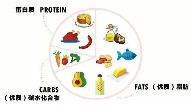 生酮|生酮饮食|癫痫|儿童癫痫|癫痫治疗|癫痫症状|生酮减肥|肥胖